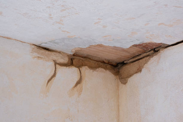 Best Water damage restoration near me  in Bridgeport, PA